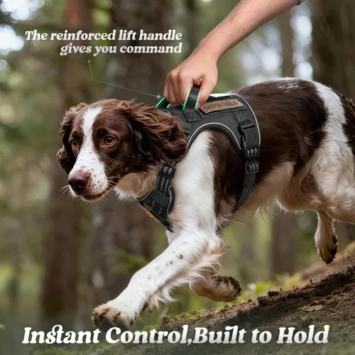 Miniatura 5 de rabbitgoo - Arnés para perros pequeño sin tirones, chaleco táctico de servicio con Molle y asa de control, arnés militar ajustable y reflectante