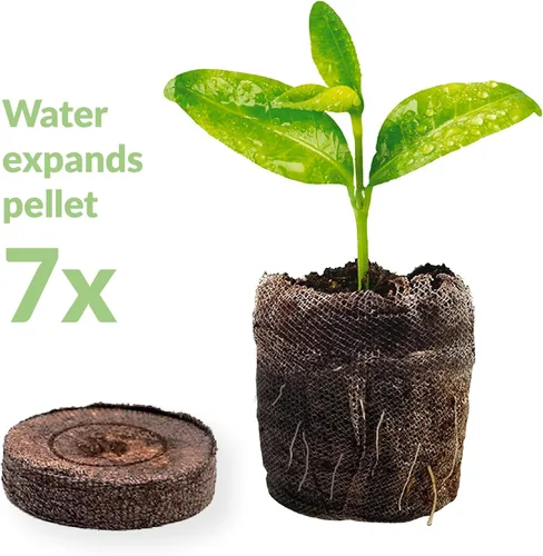 Miniatura 5 de 100 unidades - Jiffy 36 mm de pellets de turba y tierra para semillas, tapones para inicio de semillas: iniciador de semillas para interiores