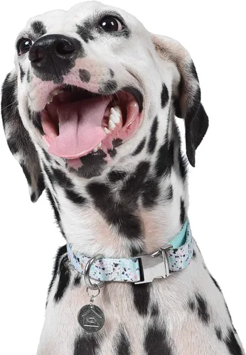Miniatura 6 de Now House for Pets by Jonathan Adler Mint - Collar de terrazo, mediano, manera elegante y moderna de mantener a tu perro con un aspecto genial