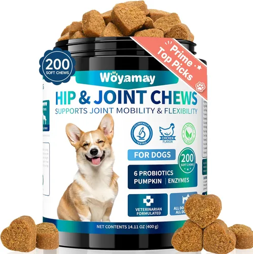 Glucosamina para perros, 200 unidades de suplemento de cadera y articulaciones de perro con MSM, condroitina, vitaminas C y E, suplemento para