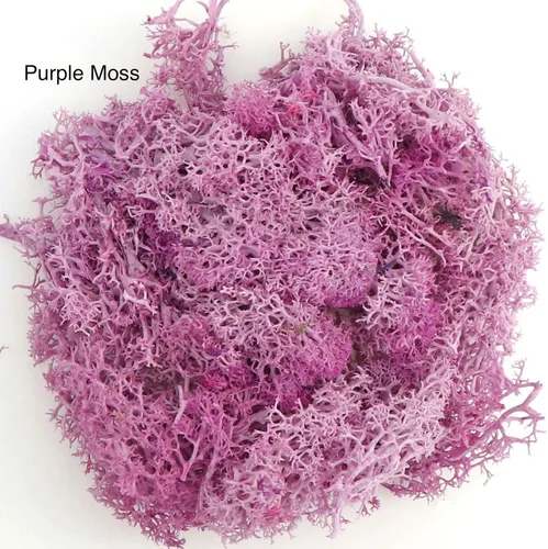 Miniatura 3 de Musgo vivo natural de 9 onzas, musgo falso para plantas en macetas y terrarios, arte y decoración de bodas (verde, morado, rosa)