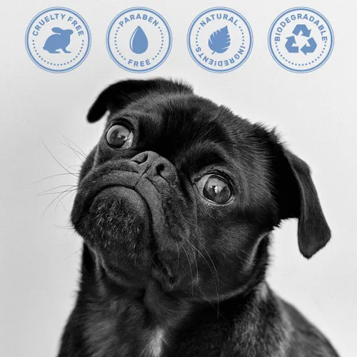 Miniatura 5 de OLIVER'S CHOICE Champú para perros con avena, aloe y manteca de karité – Champú desodorante para cachorros que huelen mal, alivio para piel