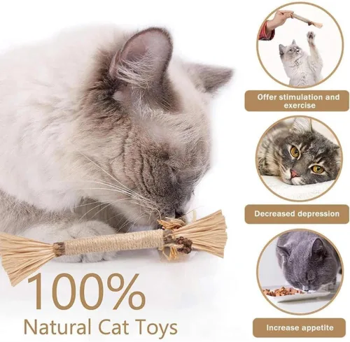 Miniatura 2 de Natural Silvervine Dental Sticks - Catnip Chew Toy, Interactive Teeth Cleaning Toy for Indoor Cats, Scratch Resistant, Boost Appetite & Relieve