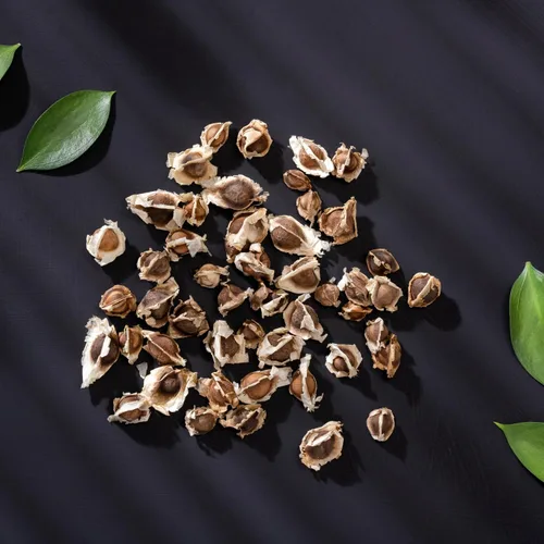 Miniatura 6 de 100 semillas de moringa para plantar, semillas de plantas vegetales de Moringa Oleifera para jardinería al aire libre