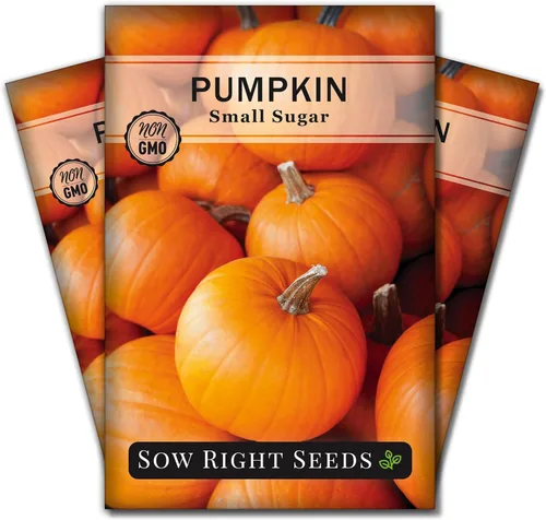 Miniatura 8 de Sow Right Seeds - Semilla pequeña de calabaza de azúcar para plantar - Paquete de reliquia sin OMG con instrucciones para plantar un huerto casero