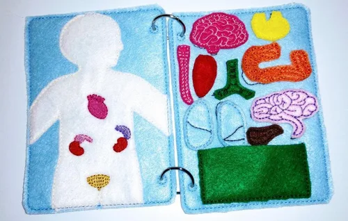 Miniatura 2 de Página de libro silencioso de anatomía de fieltro