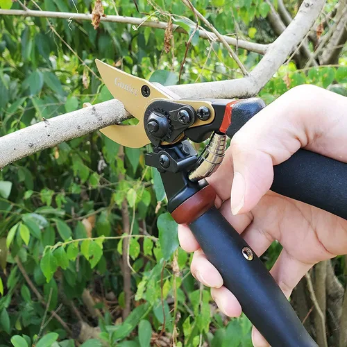 Miniatura 5 de gonicc - Tijeras de podar profesionales de 8.5 pulgadas con puente giratorio recubierto de titanio (GPPS-1014), tijeras de podar, tijeras y Tijeras
