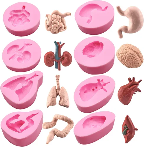 8 moldes para fondant de órganos, moldes de silicona para cerebro y corazón pulmón humano, suministros de decoración de pasteles de riñón