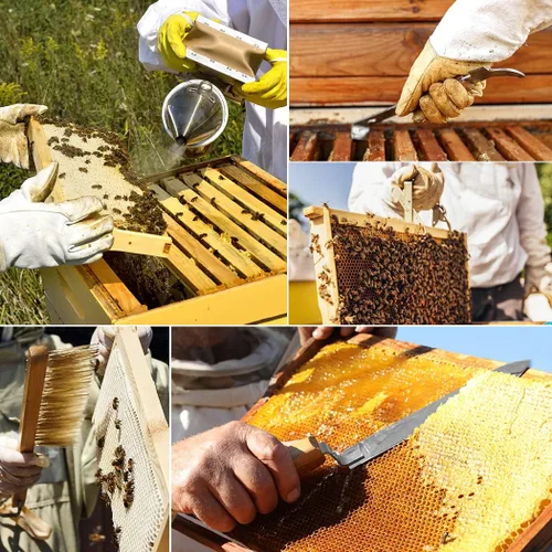 Miniatura 6 de BeeCastle Kit de iniciación de 14 herramientas de apicultura, suministros de mantenimiento de abejas, kit de herramientas de colmena de abeja