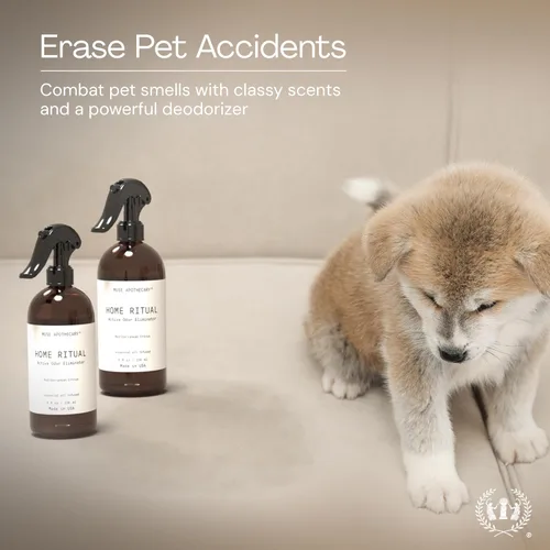 Miniatura 5 de Muse Apothecary Home Ritual Spray Eliminador de Olores Activo - Spray Desodorizante para Muebles y Eliminador de Olores de Baño para el Hogar