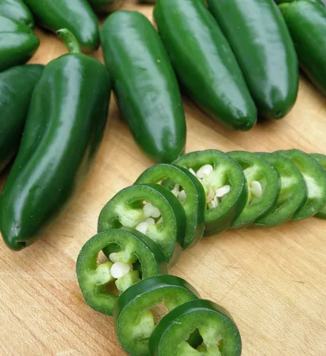 Miniatura 4 de Gaea's Blessing Semillas – Semillas de pimiento jalapeño – Semillas de pimiento picante tradicionales sin OMG de polinización abierta de alto