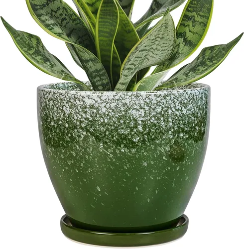 Miniatura 36 de Maceta para Plantas de 6.8 Pulgadas - Maceta de Cerámica con Orificio de Drenaje y Platillo, Maceta Redonda Moderna para Flores, Macetas