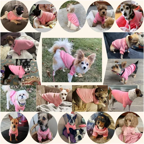 Miniatura 4 de Jecikelon - Ropa para mascotas, suéter suave, cálido y grueso, suéter de invierno para perros (talla S, color rosa)