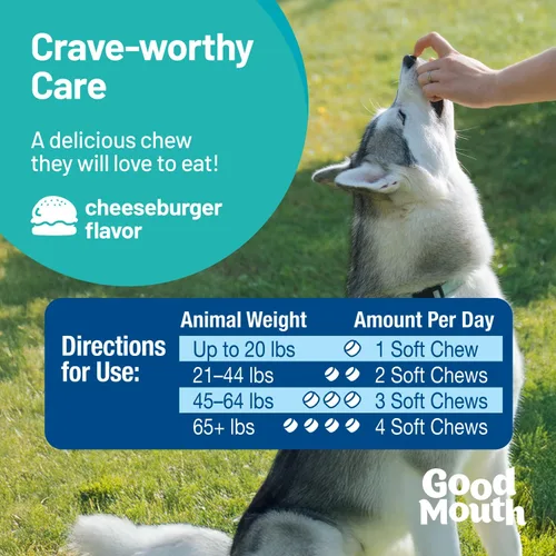 Miniatura 7 de Good Mouth - Masticables dentales para perros – Controla la placa y el sarro, promueve el aliento fresco, apoya la salud oral y las encías