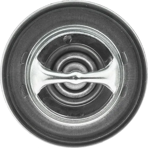 Miniatura 7 de Termostato UltraStat - 180 grados