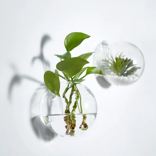 Miniatura 2 de Macetas colgantes de pared terrario de vidrio de aire para plantas