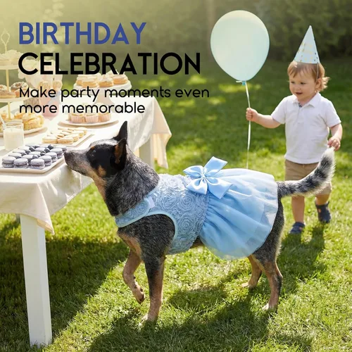 Miniatura 7 de ASENKU Vestido para Perro Vestido de Boda para Mascotas Princesa de Encaje Cachorro Traje de Fiesta de Cumpleaños Ropa Formal para Hembra para Azul