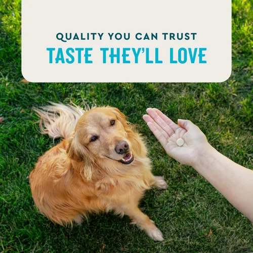 Miniatura 5 de VetIQ Suplemento de salud de cadera y articulaciones para perros, con glucosamina, condroitina y MSM, tabletas masticables para perros, sabor a