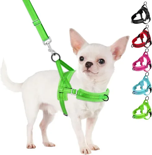 Miniatura 12 de SlowTon - Juego de arnés y correa para perros pequeños sin tirones, chaleco suave ajustable para cachorros para el cuello y el pecho, arnés