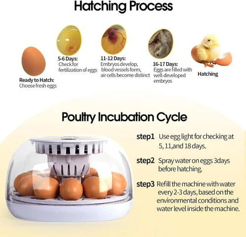 Miniatura 5 de ZEMIRO CHARGE Incubadora de 12 huevos para incubar huevos con girador automático de huevos, control de temperatura, adición automática de agua