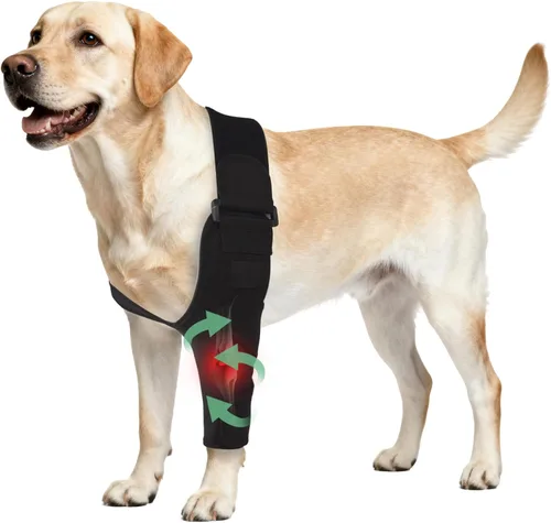 Codera ajustable para perro con soporte de hombro, soporte de pierna delantera de perro para ligamentos desgarrados, artritis, rehabilitación Pierna