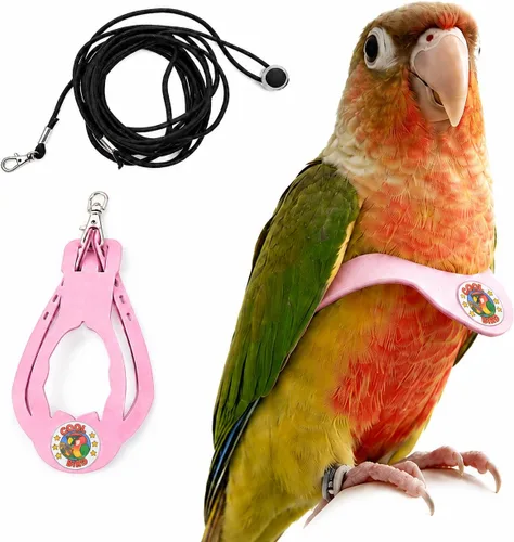 Miniatura 25 de Juego de arnés ajustable y correa para pájaros pequeños, apto para periquitos, conures, cacatúas, mejillas verdes, loros cuáqueros (verde, XS) 6350-6