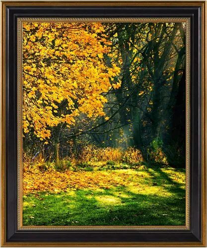marco de fotos de 16x20 pulgadas sin paspartú para póster/foto/impresión de 16x20, pantalla de montaje en pared de vidrio real resistente a roturas