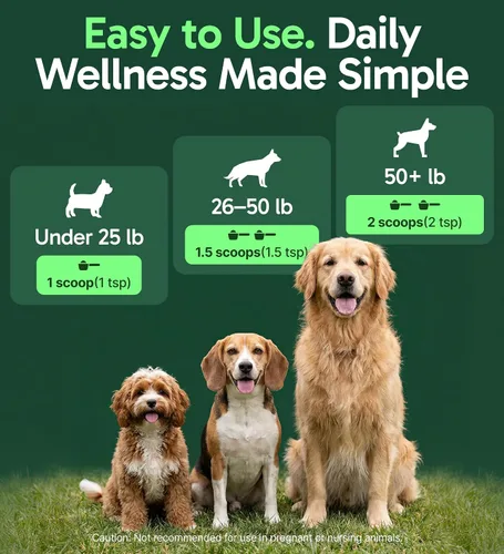 Miniatura 4 de K9 Immune, Polvo de Hongos 100% Natural para Perros para Inmunidad, Digestión, Articulaciones y Energía, Rico en Antioxidantes y Fabricado