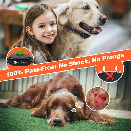 Miniatura 2 de Collar de entrenamiento para perros sin golpes con control remoto de 3300 pies, collar de perro vibratorio humano, 3 modos ultrasónico, pitido