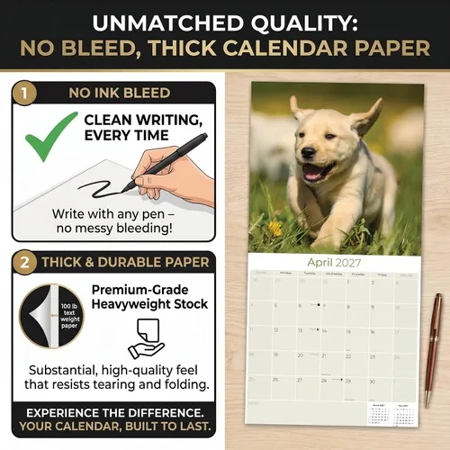 Miniatura 6 de Calendario amarillo 2025 2026 de Labrador Pups – Calendario mensual de pared de raza de perro – 12" x 24" abierto – Papel grueso anti-traspaso