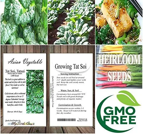 Miniatura 6 de Paquete grande - Semillas sin transgénicos de MySeeds.Co