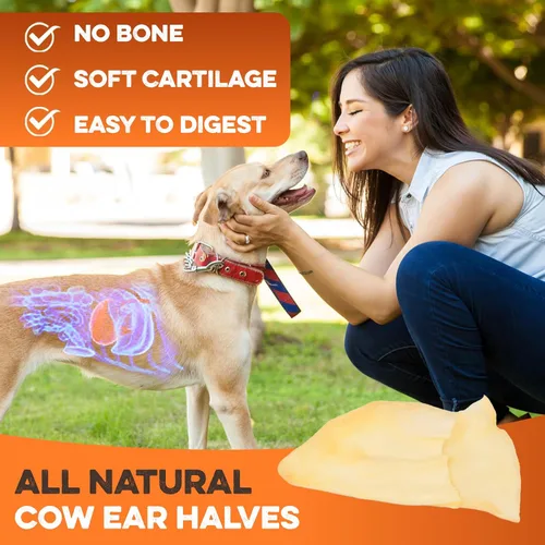 Miniatura 6 de BRUTUS & BARNABY Orejas de vaca para perros – Mitades de 30 unidades, corte grueso, carne de res Angus alimentada con pasto, alternativa totalmente