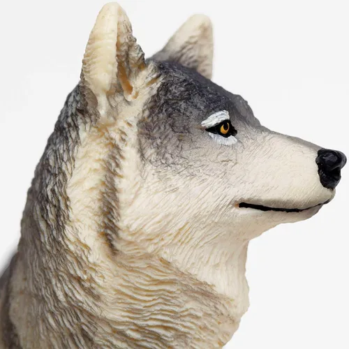 Miniatura 5 de Safari Ltd. Figura de juguete de lobo gris, figura detallada de plástico de 4.8 pulgadas, divertido juguete educativo para niños, niñas y niños a