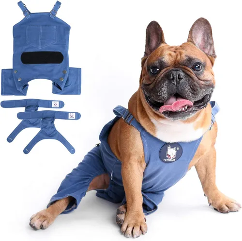 iChoue Lindos pañales para perro, tirantes para bulldog francés, pug francés, bulldog inglés, hembra, en ciclo de calor, azul, talla S, con 2 pañales