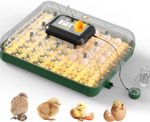 Miniatura 7 de Incubadoras de huevos para incubar huevos con girador automático de huevos, 8 incubadoras para huevos de gallina con vela de huevos para pollo