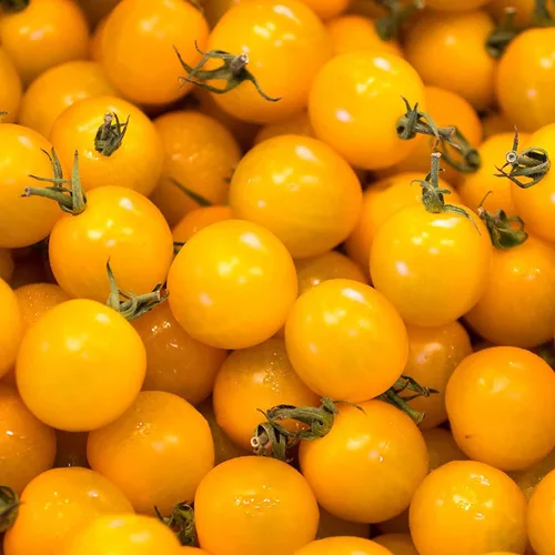 Miniatura 6 de Semillas de huerto para plantar - Cultivar verduras tradicionales (tomate bistec)