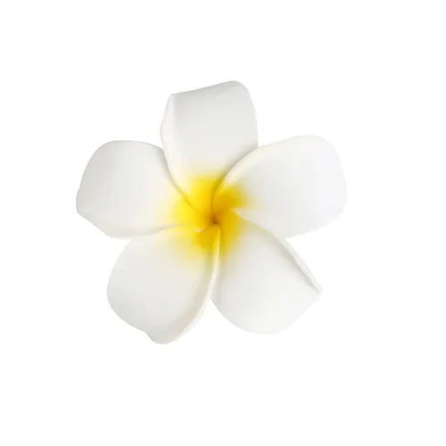 FOMIYES 25 horquillas Frangipani para mujer, pinzas de pelo de flores de simulación, pinzas negras para novia, para playa, bodas, fiestas y