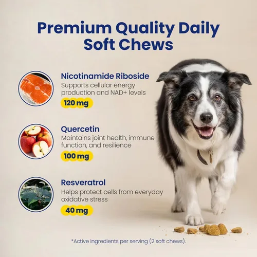 Miniatura 5 de Suplemento precursor y para perros mayores NAD+ - 90 masticables suaves - Alternativa NMN para la longevidad y el envejecimiento saludable