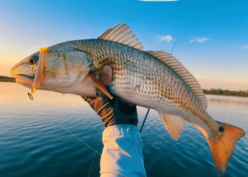 Miniatura 7 de Clips de pesca de velocidad de Top Water Co. - Acero inoxidable duradero, conector de señuelo rápido (varios tamaños)