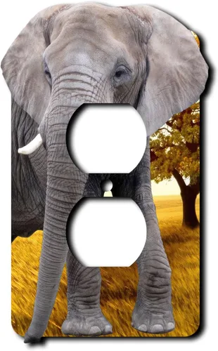 Cubierta eléctrica acrílica decorativa de elefante - Salida única