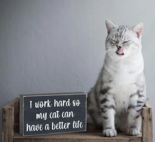 Miniatura 5 de Esur Bonita decoración de escritorio de oficina en casa para mujeres y hombres, regalos para amantes de los gatos, divertido letrero inspirador