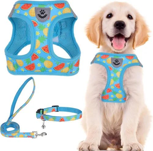 Miniatura 18 de PUPTECK - Arnés, collar y correa ajustables, sin tirones, para perros pequeños y medianos, cachorros y gatos, pechera reflectante acolchada de malla