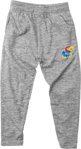 Miniatura 12 de Wes and Willy Pantalones para niños y jóvenes fanáticos de deportes universitarios, hilo nublado