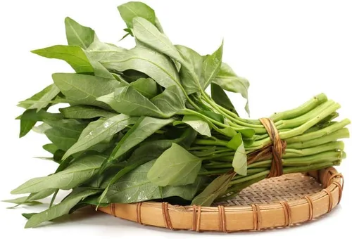 Miniatura 8 de 1000 semillas de Kangkong para plantar - Variedad de semillas de Rau Muong Vietnam - Kong Xin CAI Ong Choy vegetal asiático para cultivo de jardines