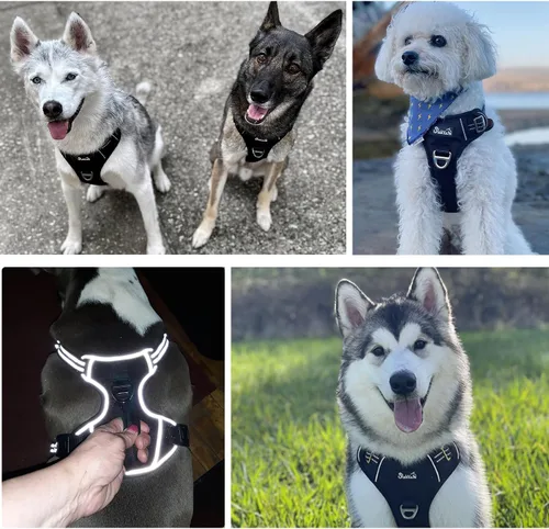Miniatura 9 de SlowTon Arnés para perro sin tirones, arnés resistente sin estrangulamiento para mascotas, con 2 clips para la correa y mango vertical de fácil