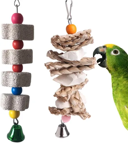 PINVNBY Paquete de 2 juguetes para loros, juguete para masticar, pico de hueso de corte, jaula de piedra para colgar con campana para grises