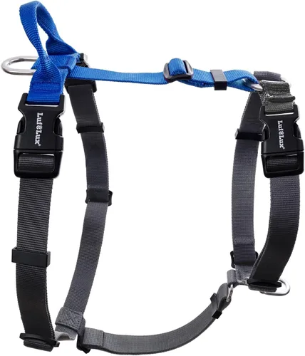 Miniatura 7 de Arnés para perro no restrictivo, fácil libertad de caminar, arnés sin tirones, mantiene el equilibrio, hebilla de cuello, ajuste de seis puntos, 2