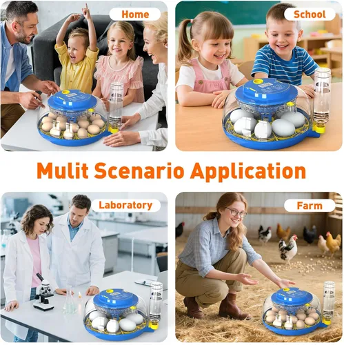 Miniatura 7 de MYPIN Incubadora de 18 huevos de gallina con control de temperatura, pantalla de humedad, giro automático de huevos, llenado automático de agua