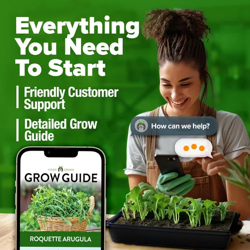 Miniatura 9 de HOME GROWN Mezcla de semillas de roqueta de rúcula a granel Más de 2,175 semillas de flores tradicionales sin OMG para plantar en exteriores e