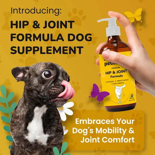 Miniatura 3 de Suplemento de cadera y articulaciones para perros, glucosamina condroitina aprobada por veterinarios para perros, soporte de flexibilidad y fuerza